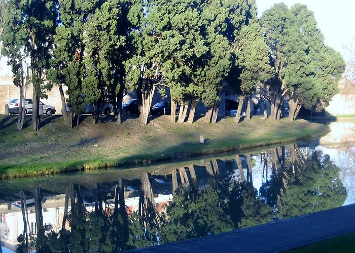 Apartament The Address *