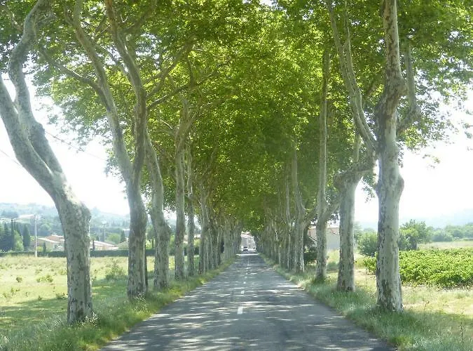 Apartament The Address